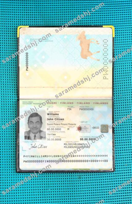 Finland passport 2012-2017 photo look
